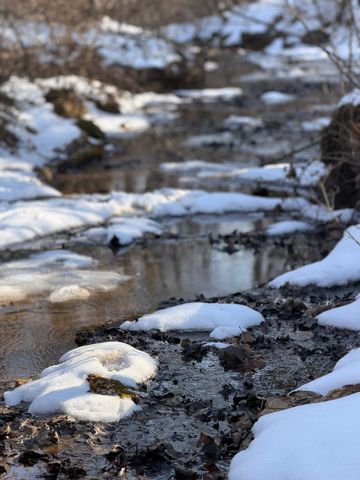 970 Covey Road, Mountain Grove, MO 65711