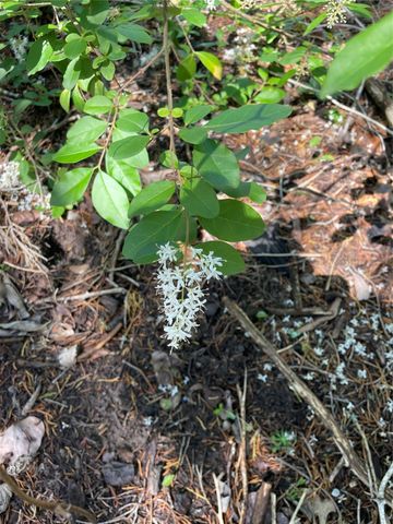 Tract 2, Key Road, Sherman, TX 75090