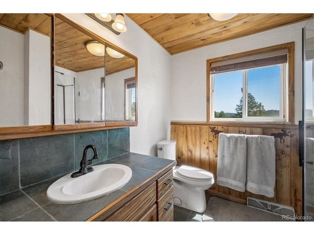 194 Long Ridge Dr, Bailey, CO 80421