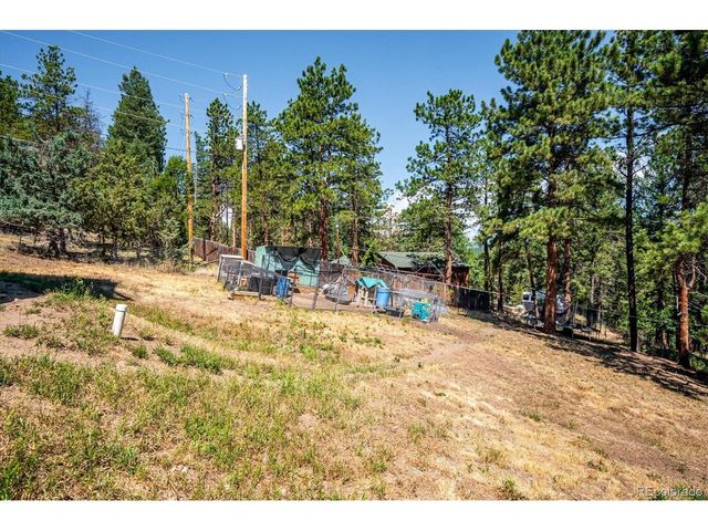194 Long Ridge Dr, Bailey, CO 80421