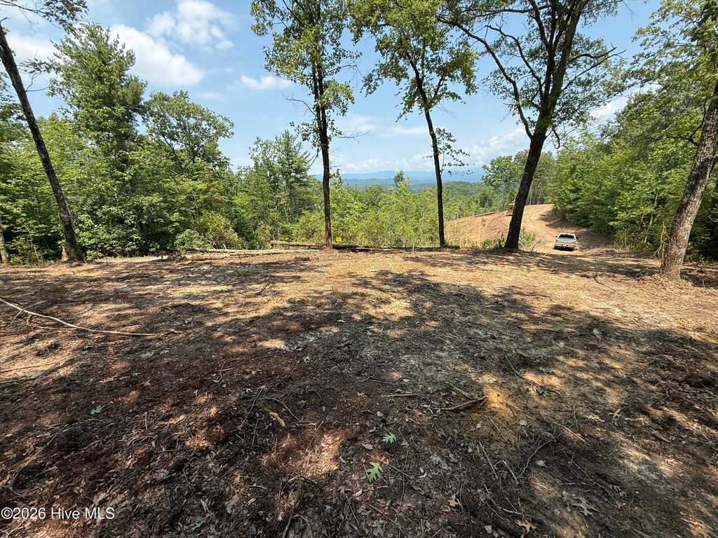 8 Avalon Crst Street, Murphy, NC 28906