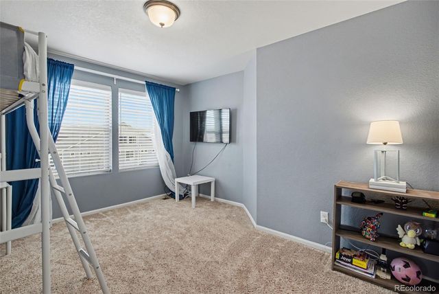 8215 Birch Tree Loop, Colorado Springs, CO 80927