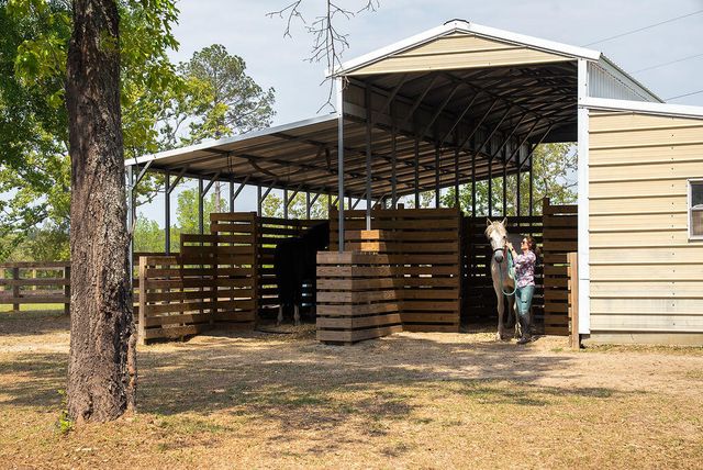 793 Flowing Well Road, Wagener, SC 29164