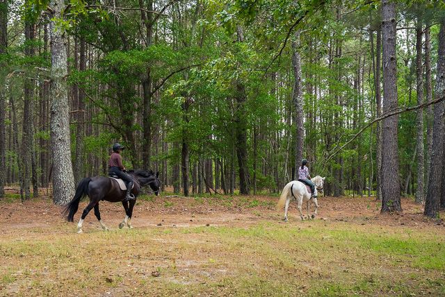 793 Flowing Well Road, Wagener, SC 29164
