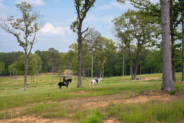 793 Flowing Well Road, Wagener, SC 29164