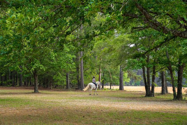 793 Flowing Well Road, Wagener, SC 29164