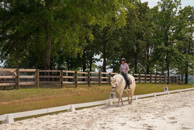 793 Flowing Well Road, Wagener, SC 29164