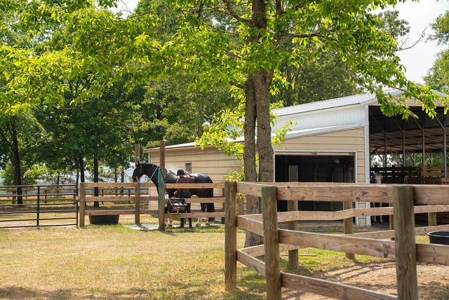 793 Flowing Well Road, Wagener, SC 29164