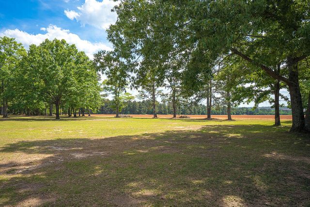 793 Flowing Well Road, Wagener, SC 29164