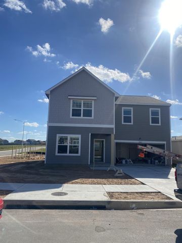 12817 Samuel Adams DR, Manor, TX 78653
