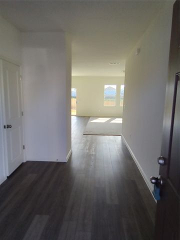 12817 Samuel Adams DR, Manor, TX 78653