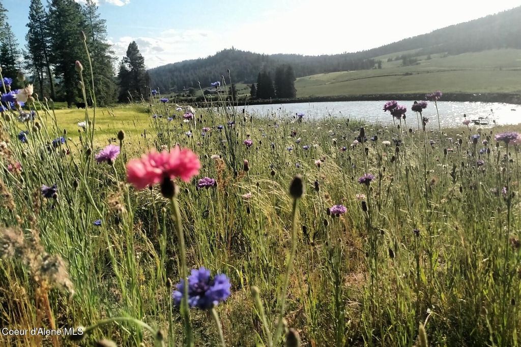 337 W Coon Creek Road, Plummer, ID 83851 photo 25