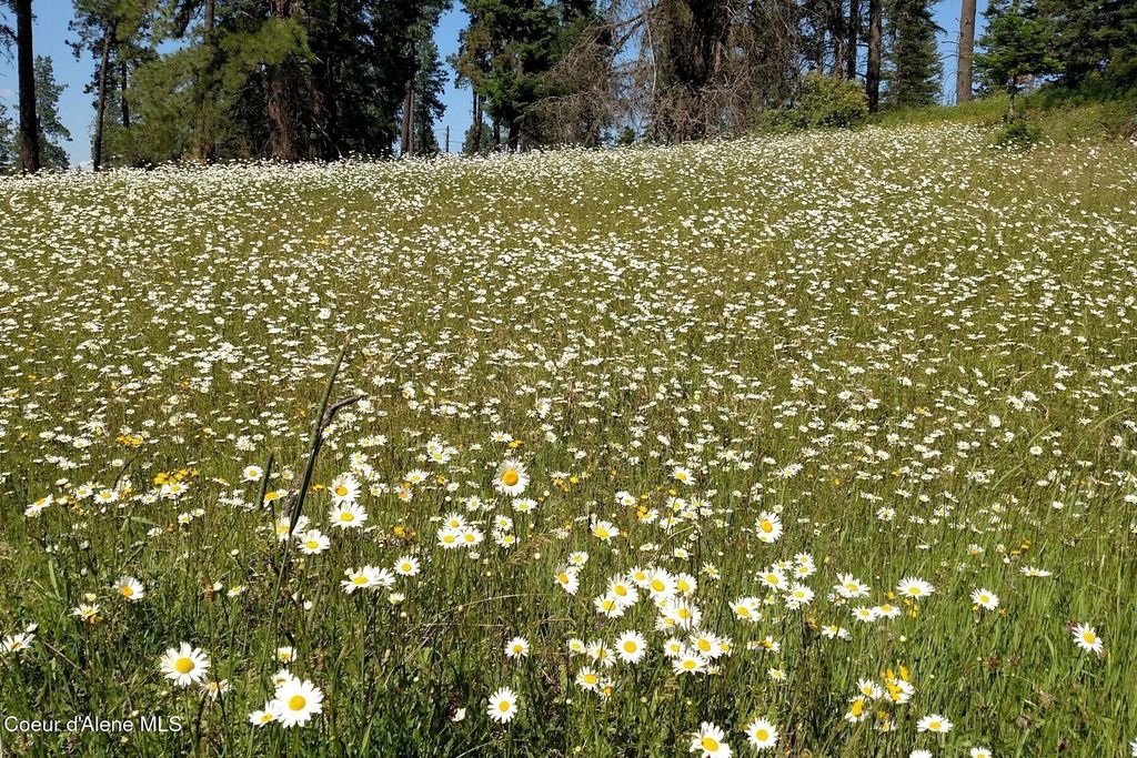 337 W Coon Creek Road, Plummer, ID 83851 photo 35