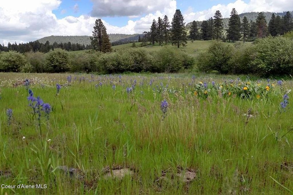 337 W Coon Creek Road, Plummer, ID 83851 photo 40