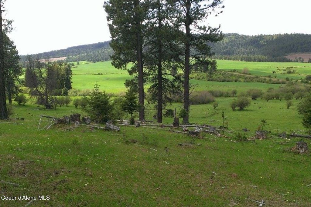 337 W Coon Creek Road, Plummer, ID 83851 photo 41