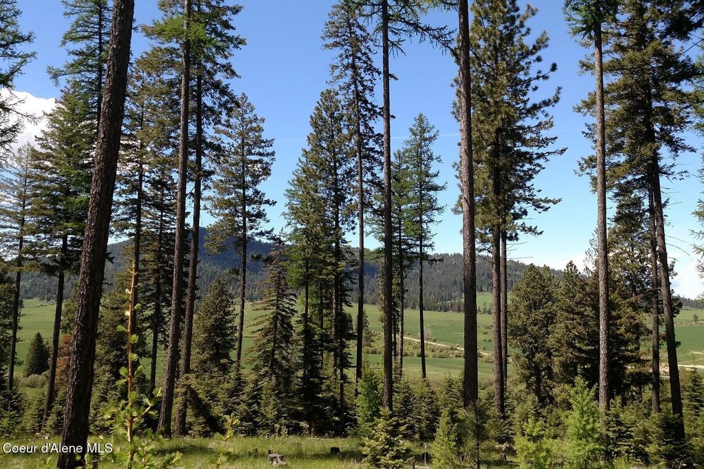 337 W Coon Creek Road, Plummer, ID 83851 photo 43