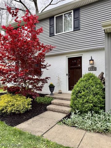 999 Concord Drive, Medina, OH 44256