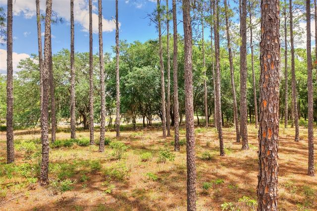 1885 PFUNDSTEIN ROAD, Lake Wales, FL 33898