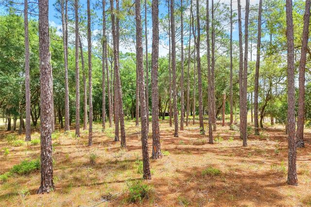1885 PFUNDSTEIN ROAD, Lake Wales, FL 33898
