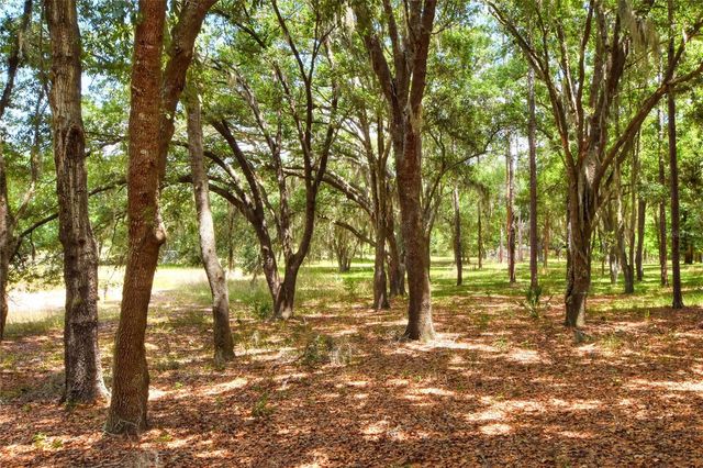 1885 PFUNDSTEIN ROAD, Lake Wales, FL 33898