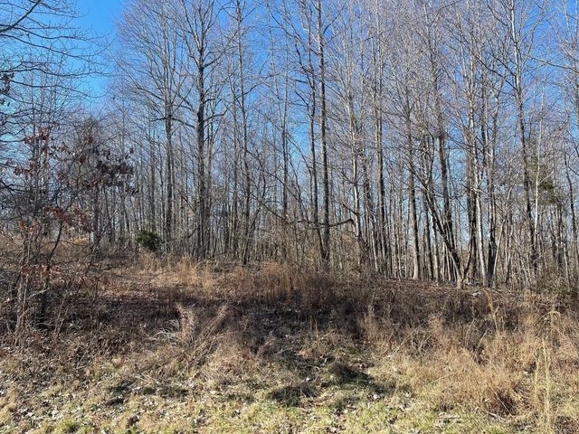 0 Chandler Rd, Woodlawn, TN 37191