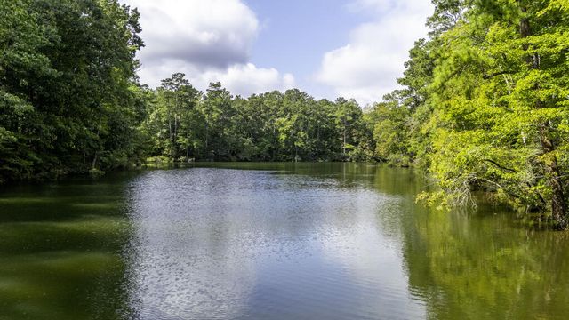 667 Lake Harding Drive, Hamilton, GA 31811