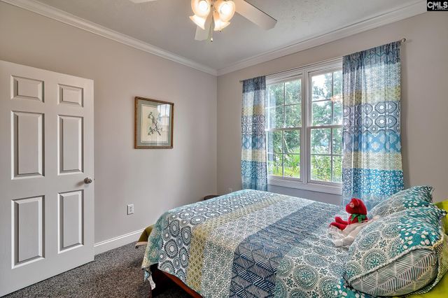 117 Peninsula Court, Prosperity, SC 29127