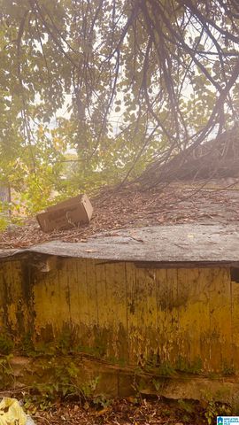 1052 AVENUE E, Birmingham, AL 35218