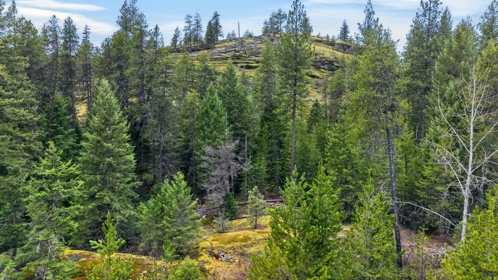 NNA Elk Rd, Newport, WA 99156 photo 18