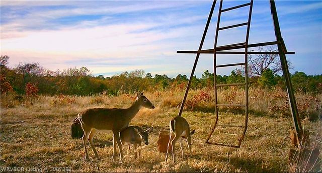 59917 350th Avenue, Whitesboro, OK 74577