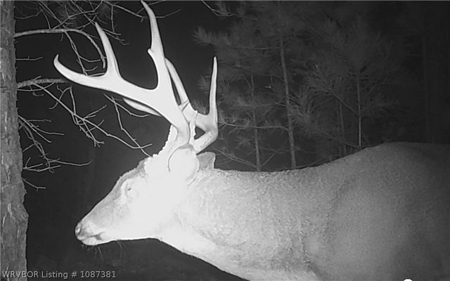 59917 350th Avenue, Whitesboro, OK 74577