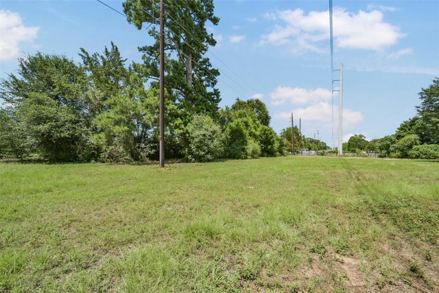 17719 Willow Run Street, Hockley, TX 77447