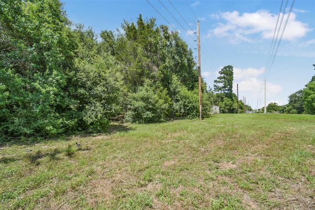 17719 Willow Run Street, Hockley, TX 77447