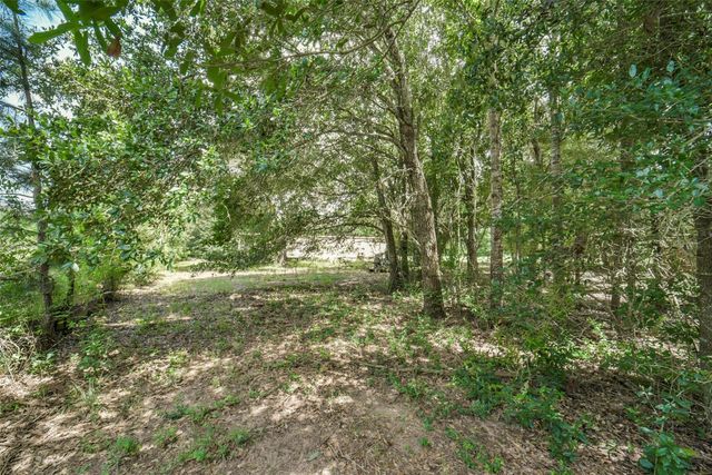 17719 Willow Run Street, Hockley, TX 77447