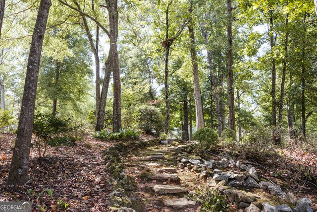 1031 Millers Lake Drive, Watkinsville, GA 30677