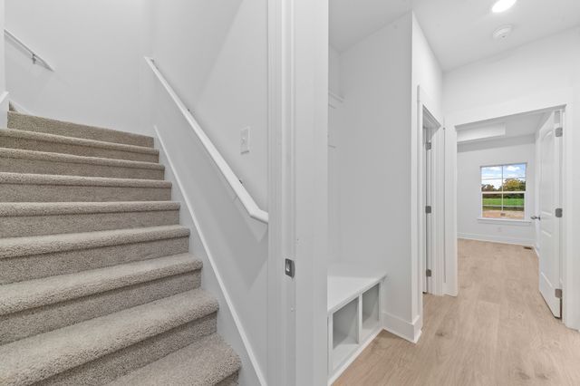 232 Dugout Road, Summertown, TN 38483