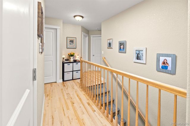 563 Kenai Court, Windsor, CO 80550