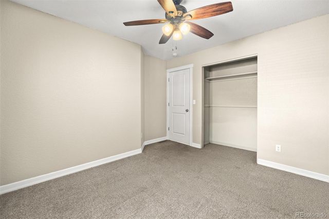 563 Kenai Court, Windsor, CO 80550