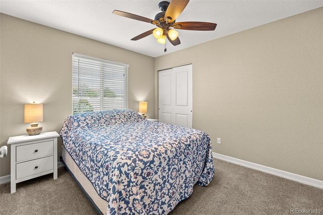 563 Kenai Court, Windsor, CO 80550