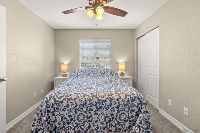 563 Kenai Court, Windsor, CO 80550