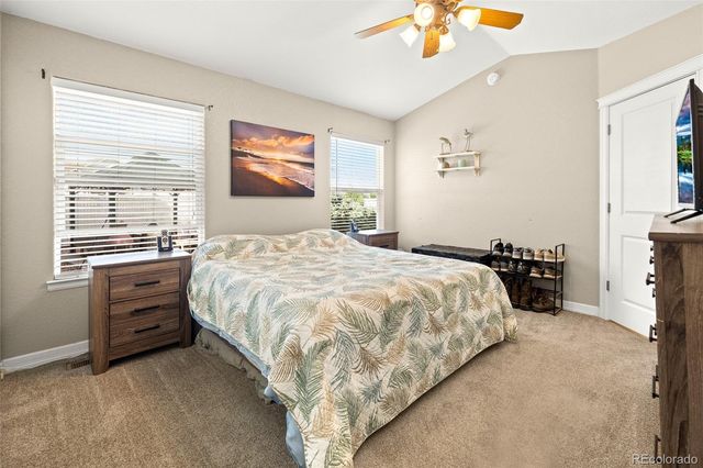 563 Kenai Court, Windsor, CO 80550