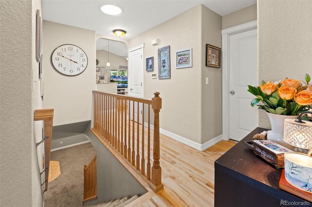 563 Kenai Court, Windsor, CO 80550