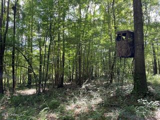 Pettey Road, Forest, MS 39074