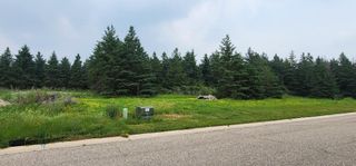 Lot 4 White Spruce Lane NW, Alexandria, MN 56308