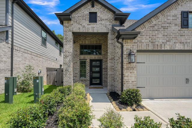 360 Rise Lane, Montgomery, TX 77316