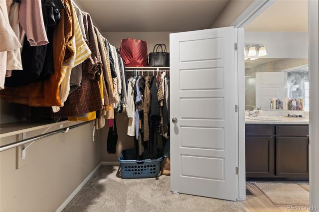 6937 Green Stalk Circle, Colorado Springs, CO 80927