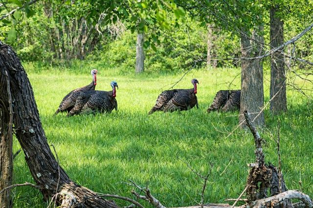 TBD Cr 475, El Campo, TX 77437