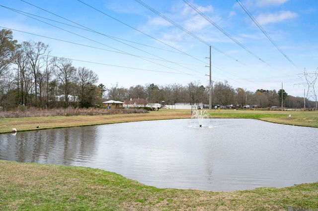 11371 Rossow Ct, Denham Springs, LA 70726