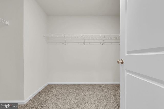 408 CONSTELLATION LN, Frederick, MD 21701