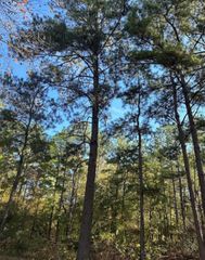 TBD 9845 Fm 149 Rd, Montgomery, TX 77316